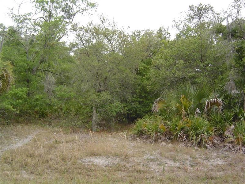 11520 W CHECKERBERRY DRIVE, Crystal River, FL 34428