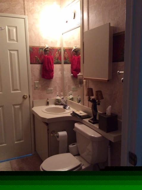 Crystal River Village Mobile Home Park 1711 seLake Evelyn AveCrystal River, FL 34429