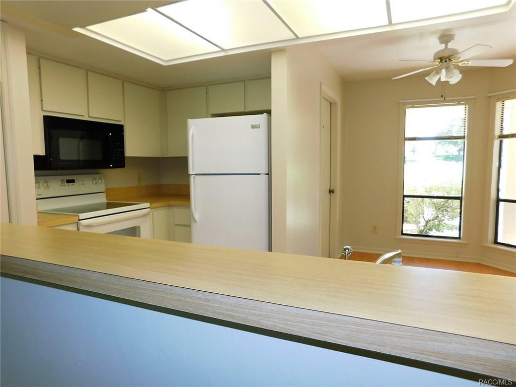 1728 N Envoy Drive, Crystal River, FL 34429