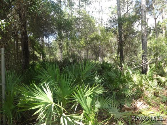 7970 W Delta, Crystal River, FL 34429