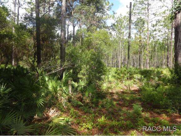 7970 W Delta, Crystal River, FL 34429