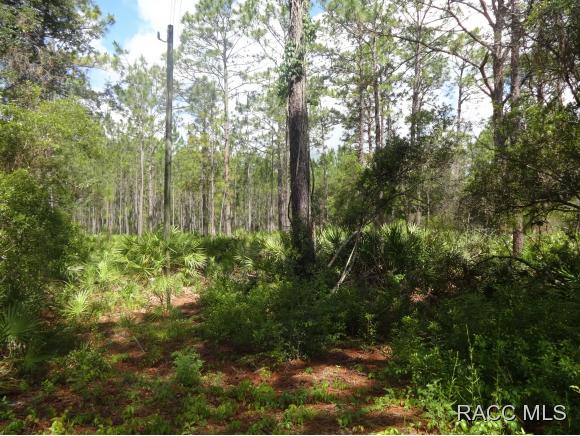 7970 W Delta, Crystal River, FL 34429