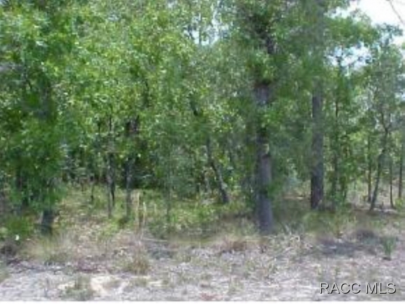 2255 N Joyner Terrace, Crystal River, FL 34429