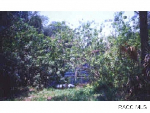 2255 N Joyner Terrace, Crystal River, FL 34429