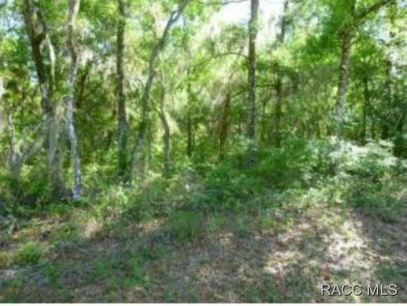 2255 N Joyner Terrace, Crystal River, FL 34429