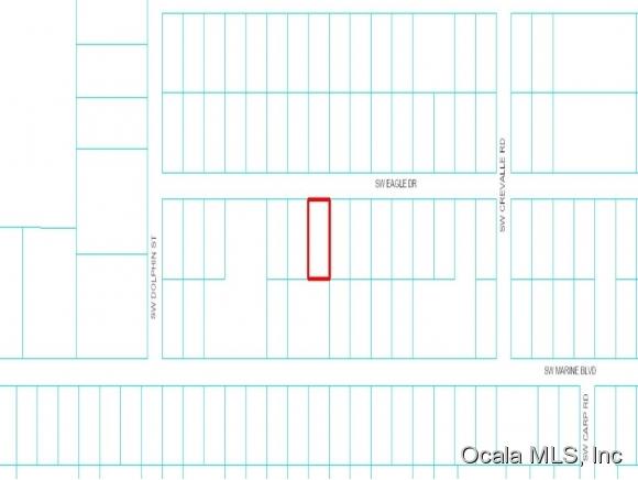 Lot 9 SW Lot 9 Eagle Drive, Dunnellon, FL 34431