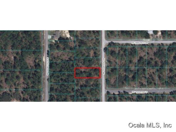00 NW Redwood Drive, Dunnellon, FL 34431