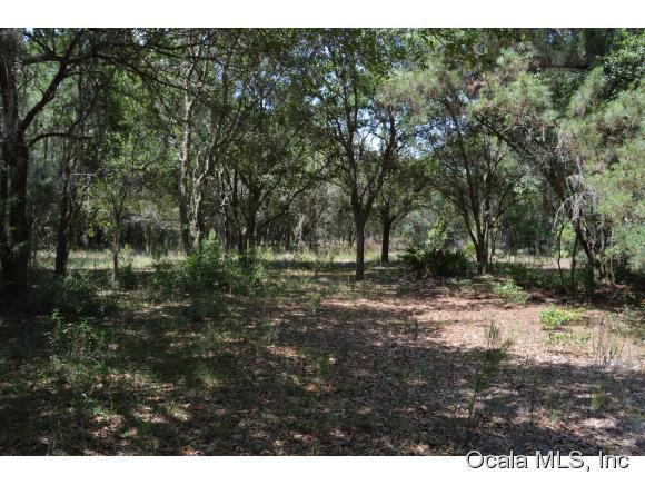 00 SW 232nd Court, Dunnellon, FL 34431