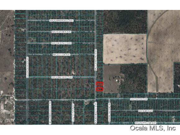 0 NW Buena Vista Road, Dunnellon, FL 34431