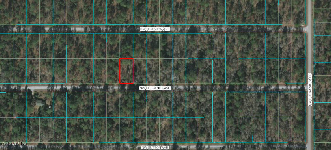 Lot 40 NW Chestnut Ave, Dunnellon, FL 34431