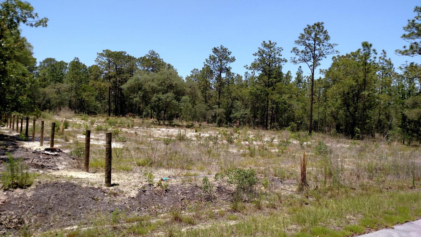 1262 NW Tree Top Road, Dunnellon, FL 34431