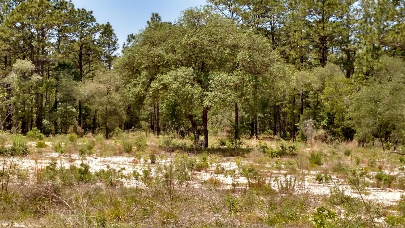 1262 NW Tree Top Road, Dunnellon, FL 34431