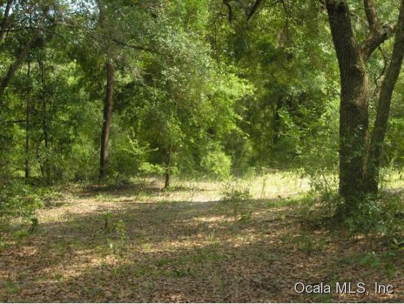 00 St George Drive, Dunnellon, FL 34432