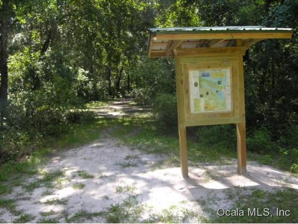00 St George Drive, Dunnellon, FL 34432
