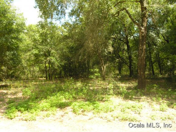 00 St Benedict Drive, Dunnellon, FL 34432