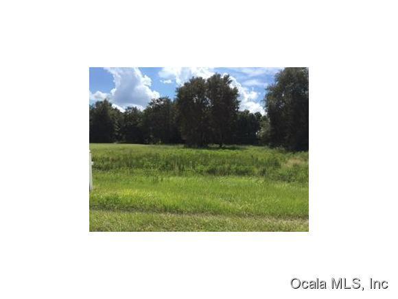00 SW 114 Place, Dunnellon, FL 34432