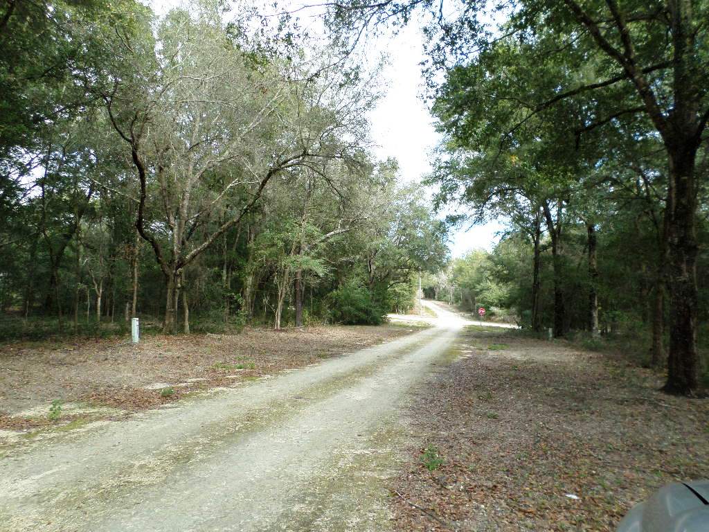 ST GEORGE ST LOT 95, Dunnellon, FL 34432