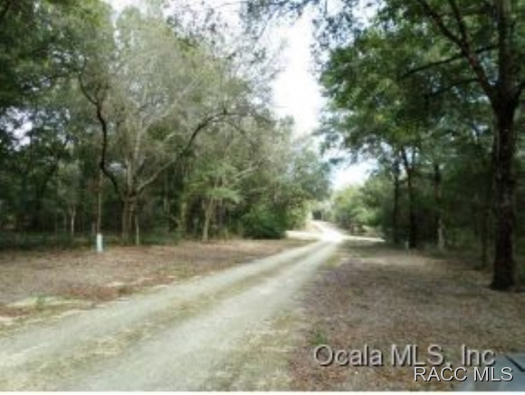 0 St George Street, Dunnellon, FL 34432