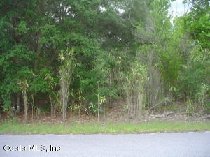 0 Kerria Court, Dunnellon, FL 34432