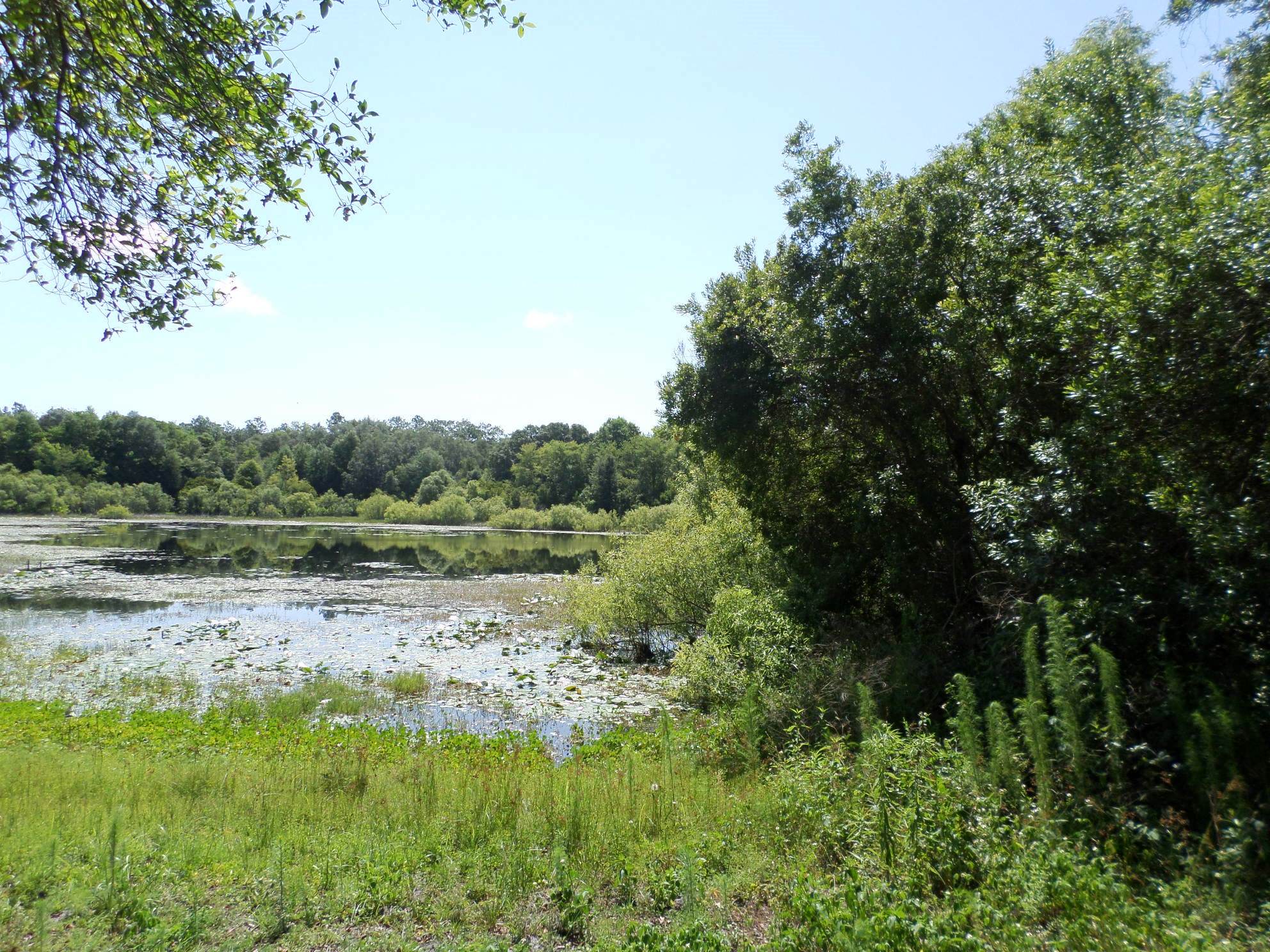 00 SW 36TH LOOP LOT 16, Dunnellon, FL 34432