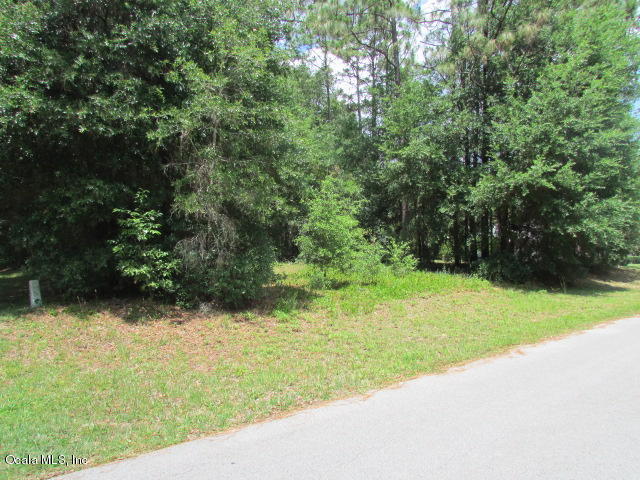 0000 SW 197 Circle, Dunnellon, FL 34432