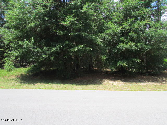 0000 SW 197 Circle, Dunnellon, FL 34432