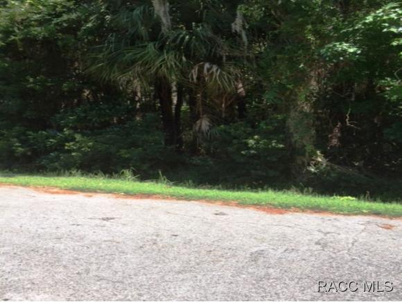 0 Palmetto Way, Dunnellon, FL 34432