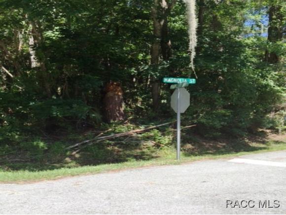 0 Palmetto Way, Dunnellon, FL 34432