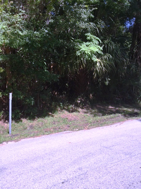 00 PALMETTO WAY, Dunnellon, FL 34432