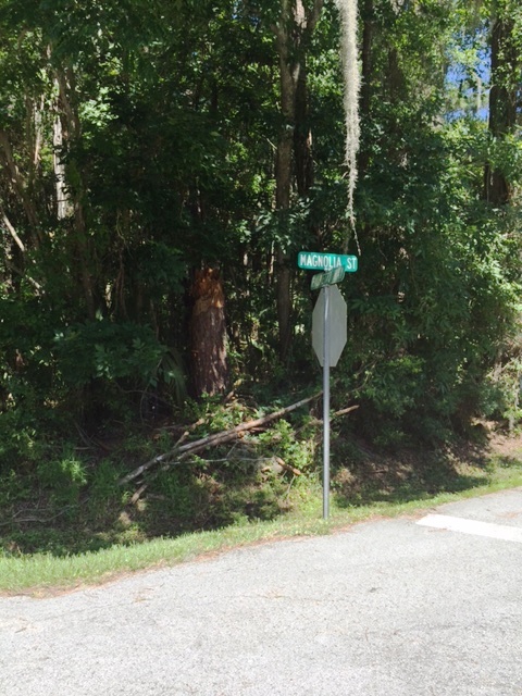 00 PALMETTO WAY, Dunnellon, FL 34432