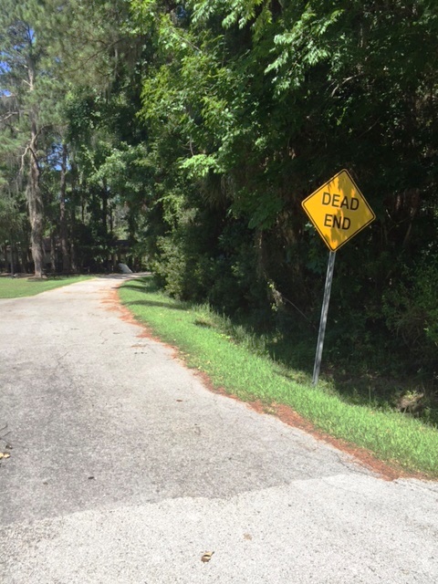 00 PALMETTO WAY, Dunnellon, FL 34432