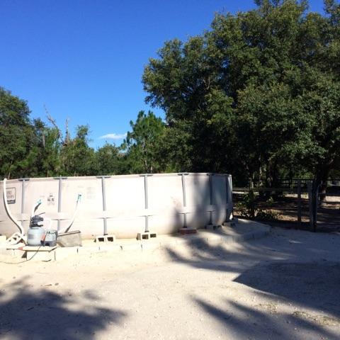 13890 SW 91st Place, Dunnellon, FL 34432