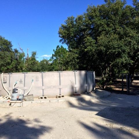 13890 SW 91st Place, Dunnellon, FL 34432