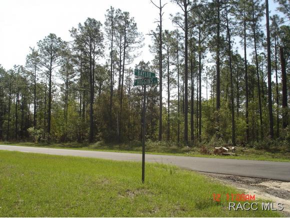 6457 N Baylor Ter, Citrus Springs, FL 34433