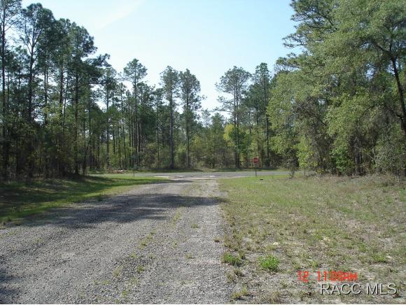 6457 N Baylor Ter, Citrus Springs, FL 34433