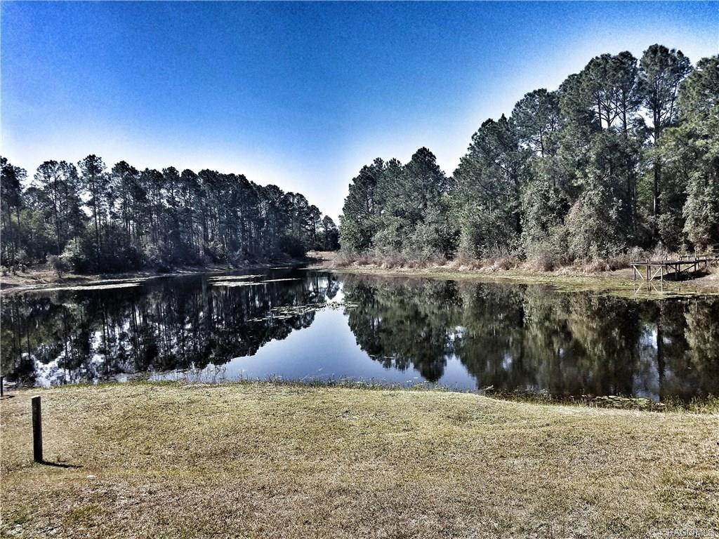 9280 N Cedar Cove Road, Dunnellon, FL 34434