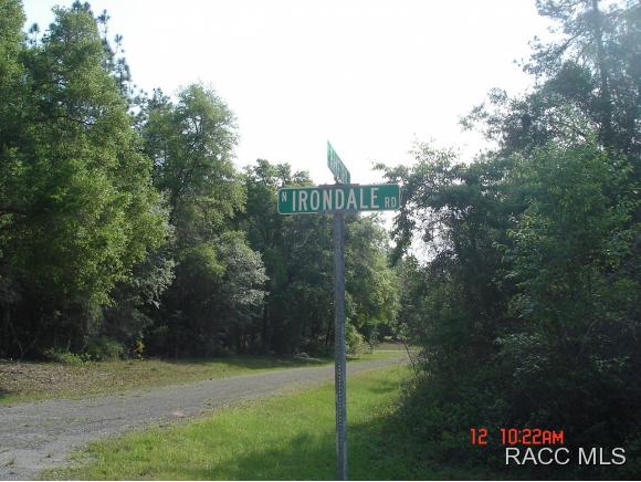 9088 N Irondale Rd, Citrus Springs, FL 34434