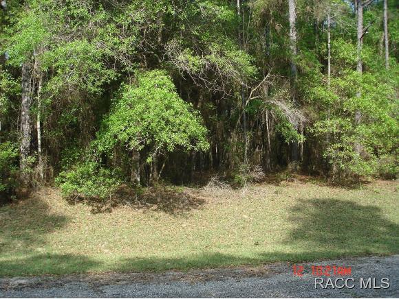 9088 N Irondale Rd, Citrus Springs, FL 34434