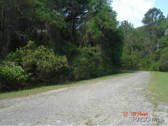 9088 N Irondale Rd, Citrus Springs, FL 34434