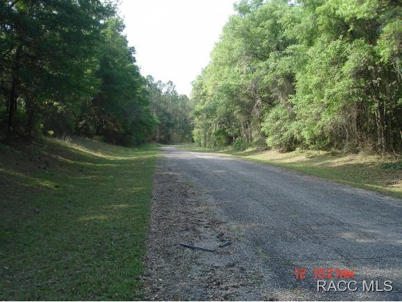9088 N Irondale Rd, Citrus Springs, FL 34434