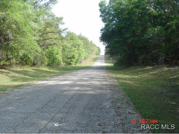 9088 N Irondale Rd, Citrus Springs, FL 34434