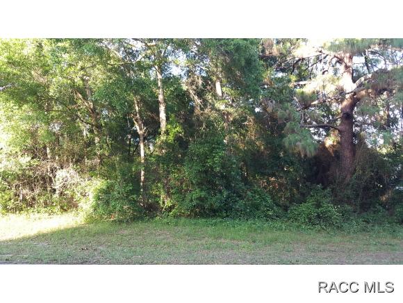 8825 N Golfview Dr, Citrus Springs, FL 34434
