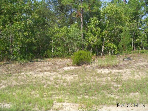261 E Parker Loop, Citrus Springs, FL 34434