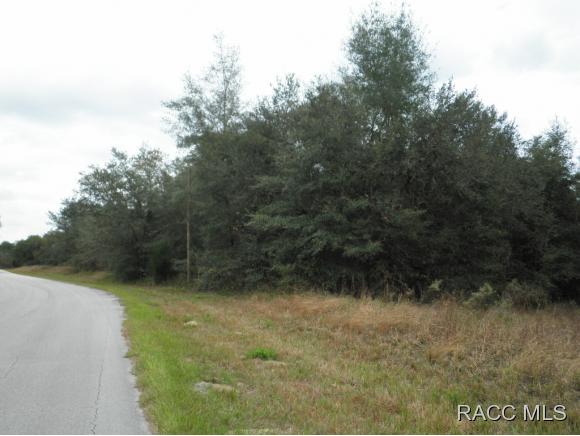 2100 W Springlake Drive, Dunnellon, FL 34434