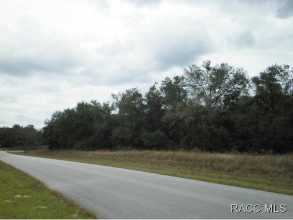 2100 W Springlake Drive, Dunnellon, FL 34434