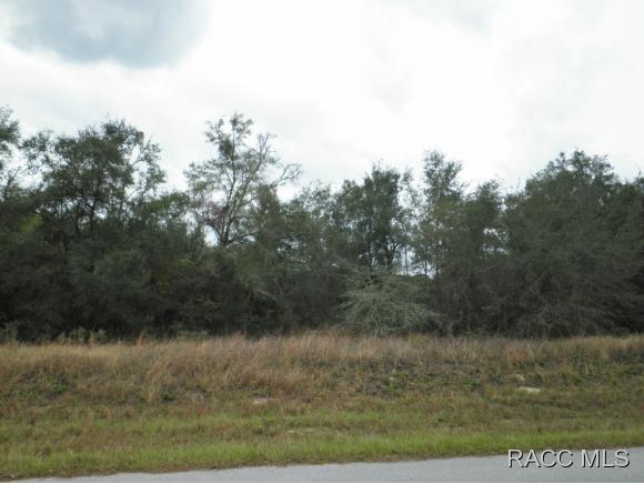 2100 W Springlake Drive, Dunnellon, FL 34434