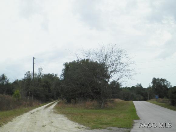 2100 W Springlake Drive, Dunnellon, FL 34434