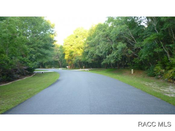 10314 N Natchez Loop, Dunnellon, FL 34434