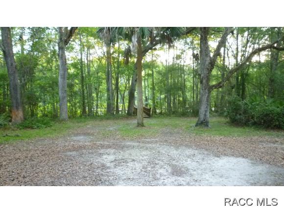 10314 N Natchez Loop, Dunnellon, FL 34434