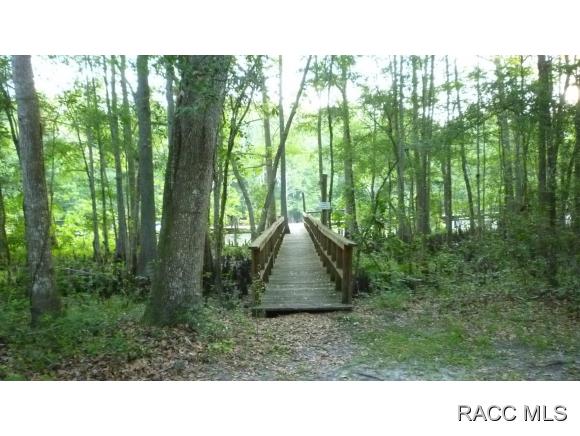 10314 N Natchez Loop, Dunnellon, FL 34434